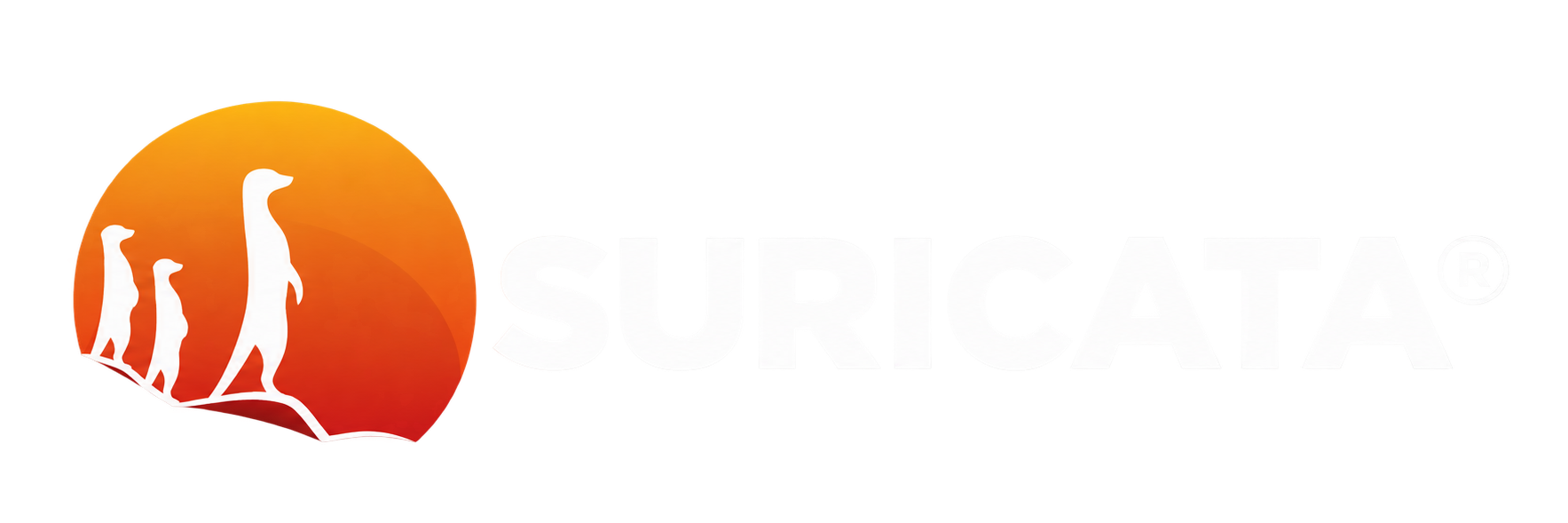 Suricata